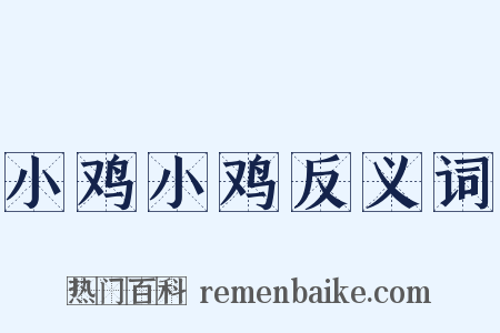 小鸡小鸡反义词是什么意思的图片